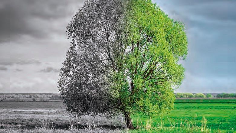Medio ambiente, cambio climático y energía