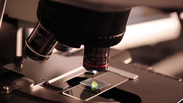 Reforma de la Ley de la de la Ciencia, la Tecnología y la Innovación