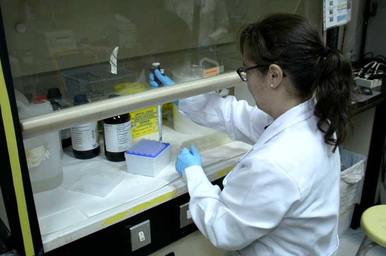 Igualdad en las Entidades Adscritas. Fachada CSIC