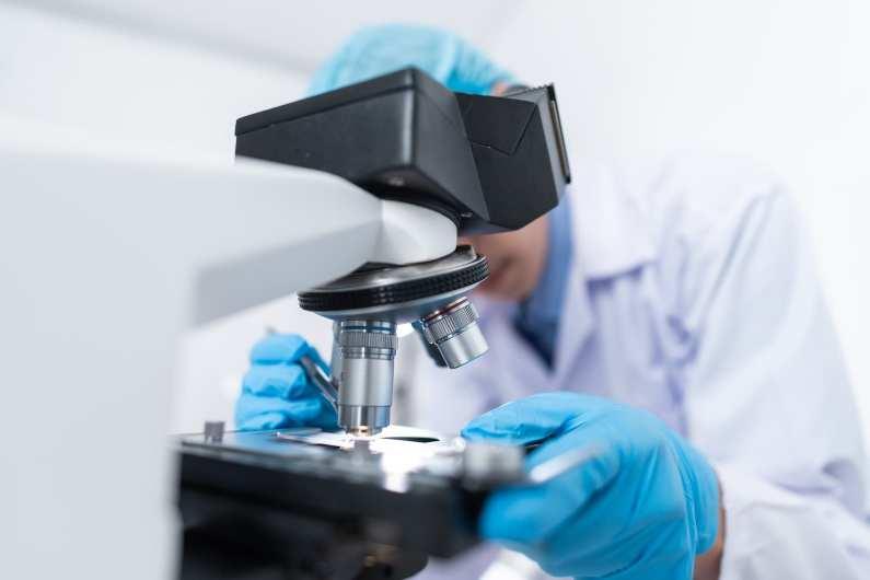 Unidad de mujeres y ciencia