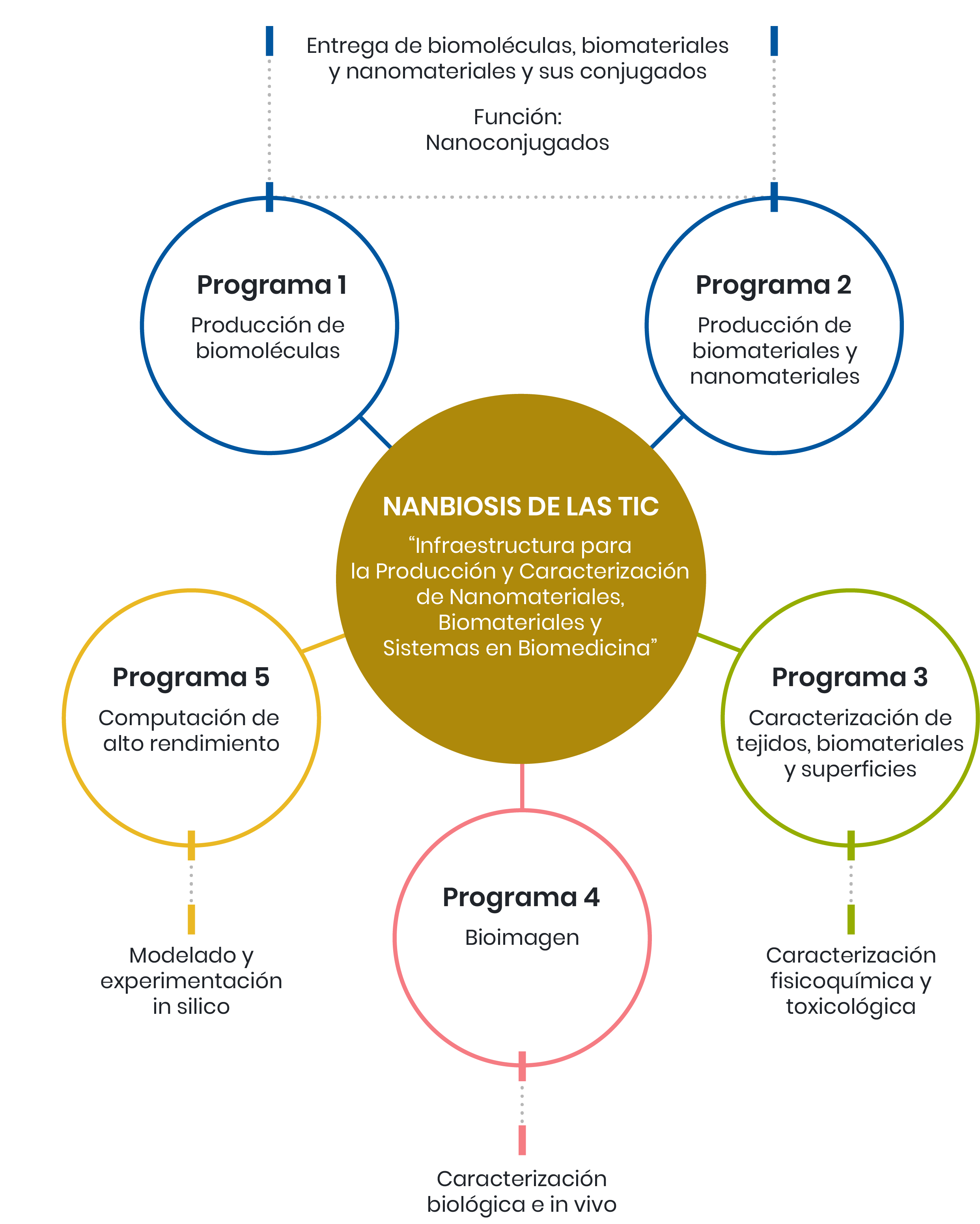 Organigrama