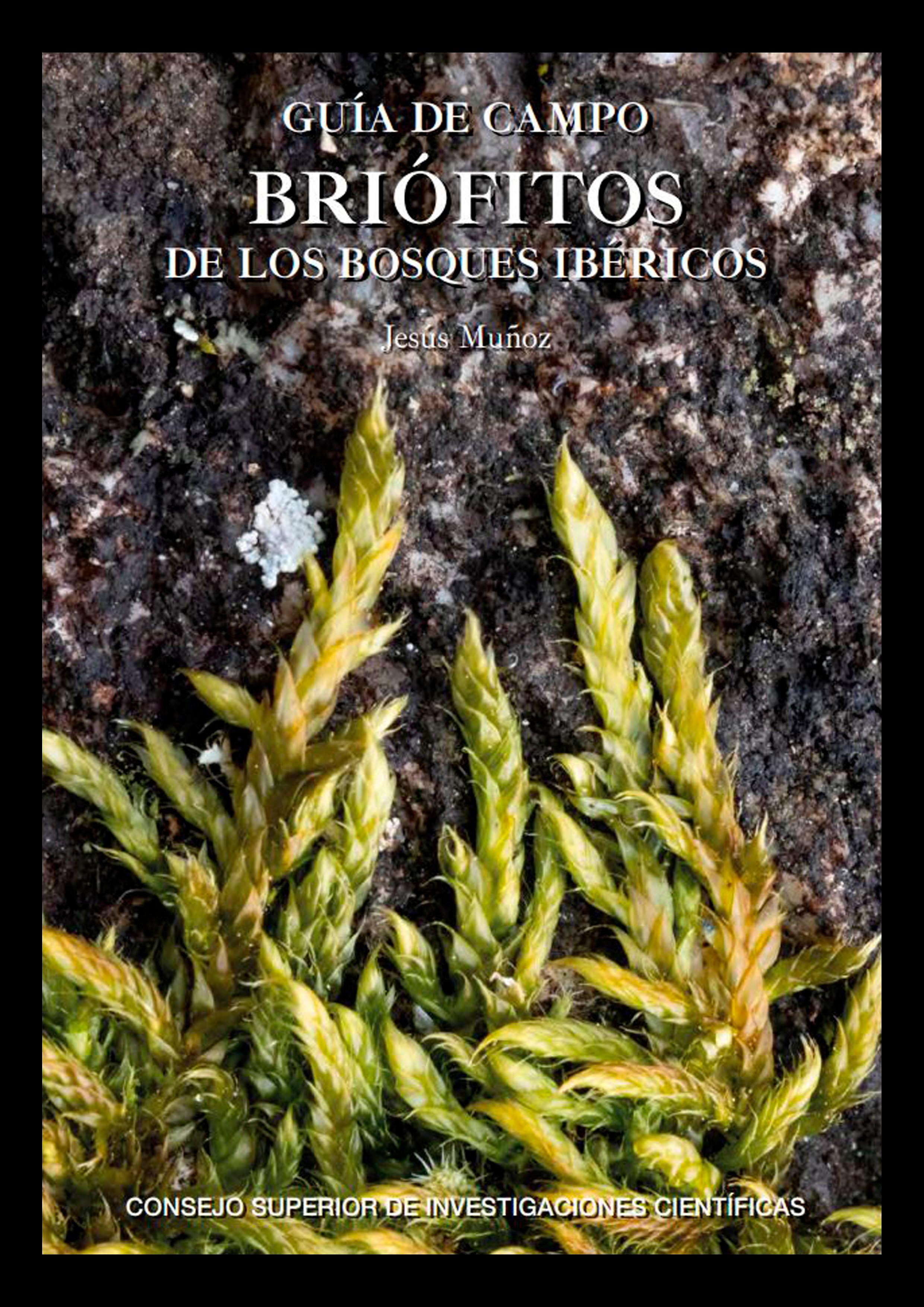 Imagen portada publicación