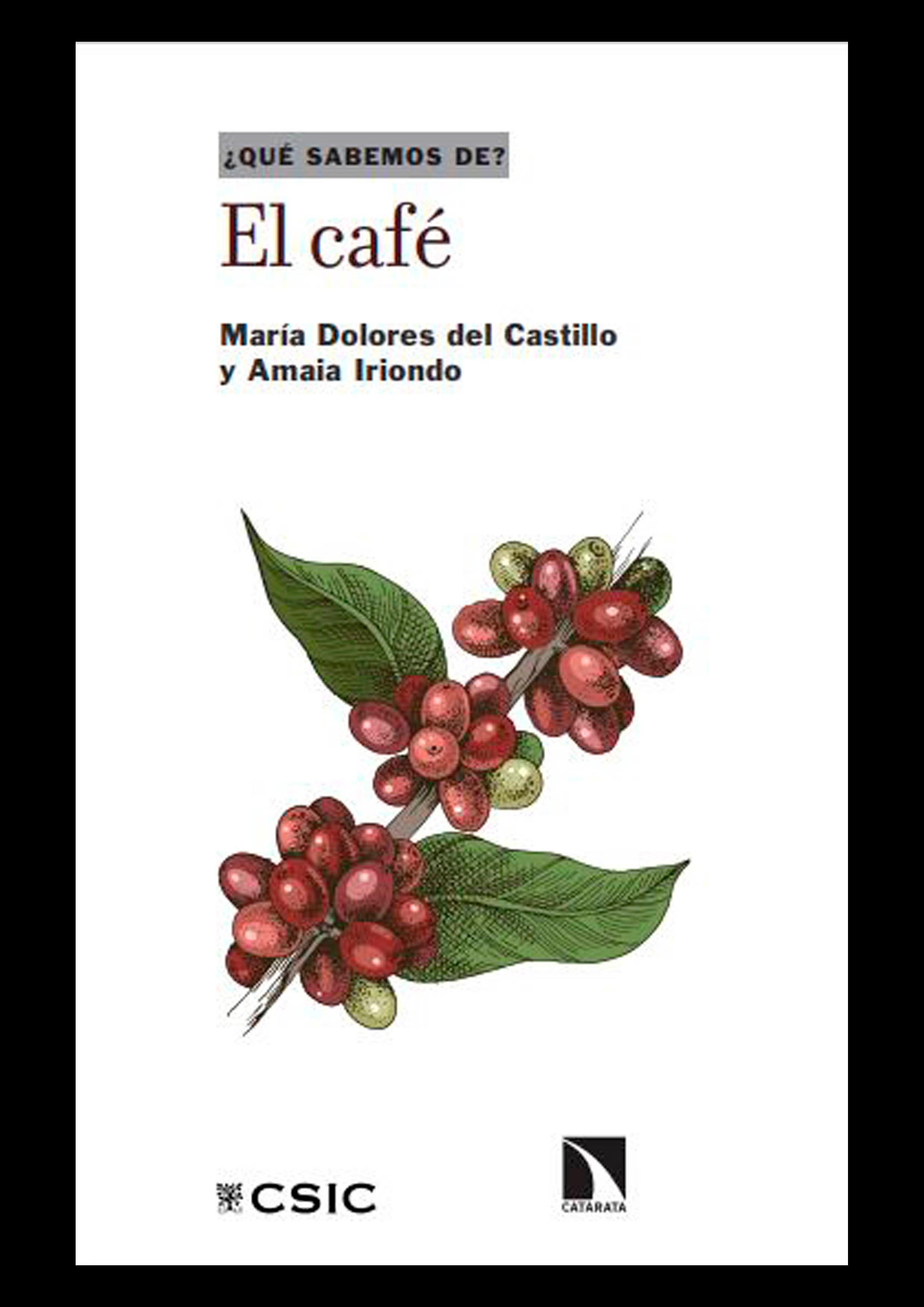 Imagen portada publicación