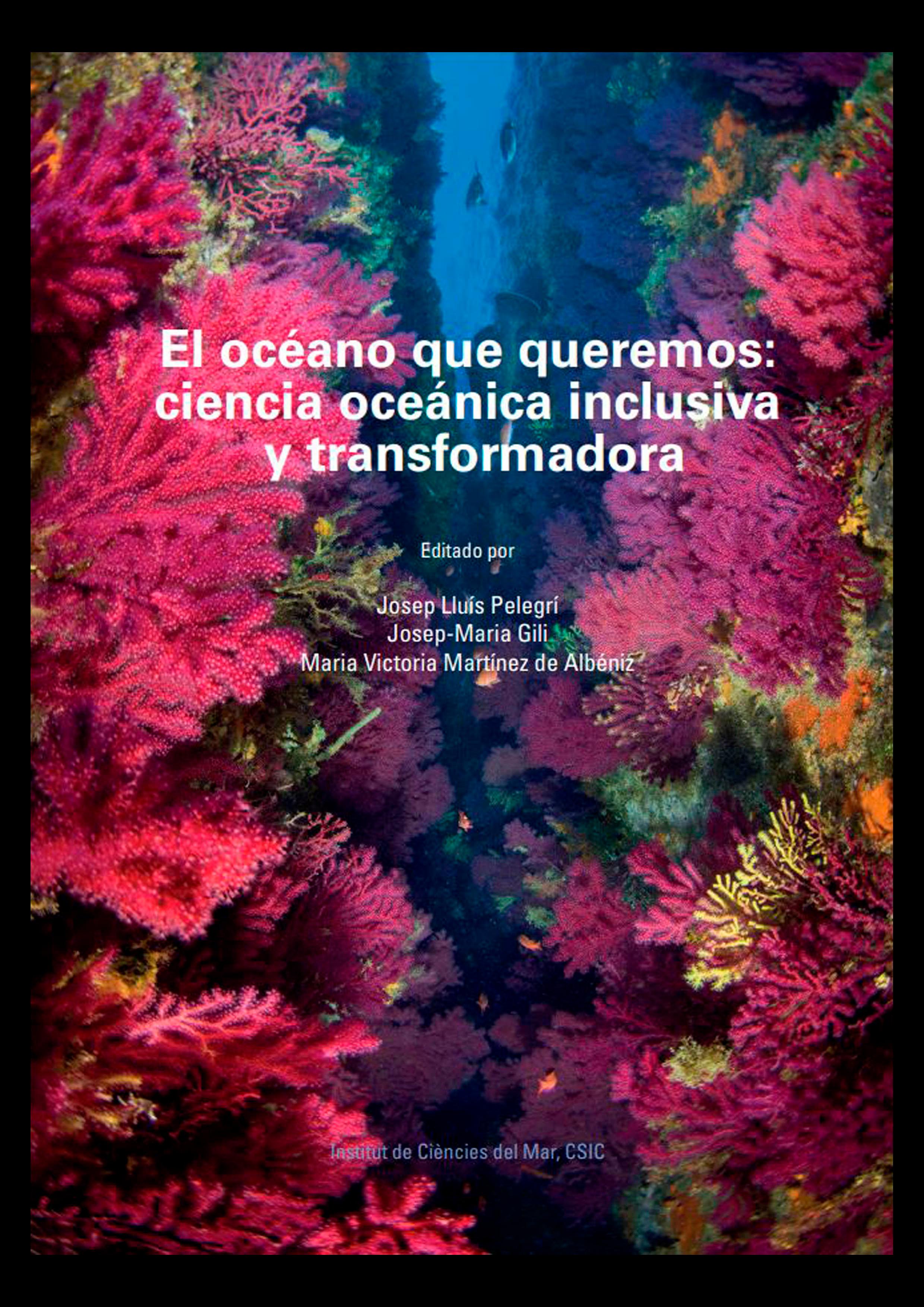 imagen caratula Publicación