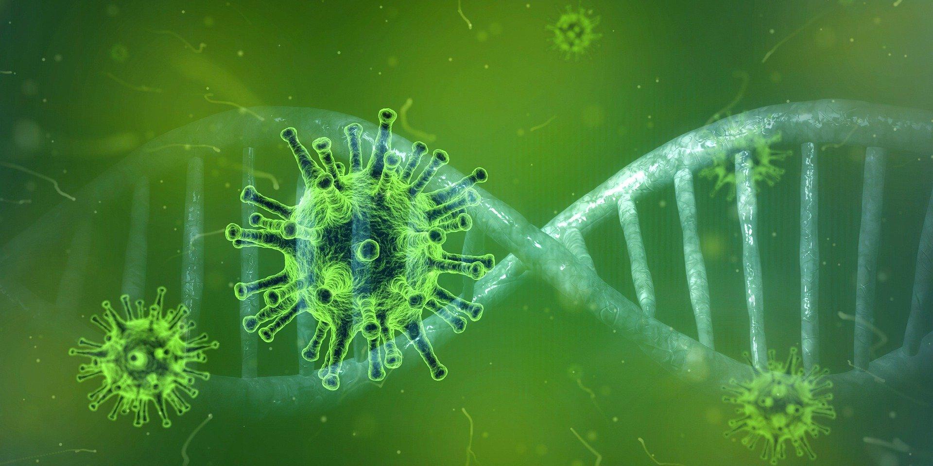 Imagen que representa cómo es un virus