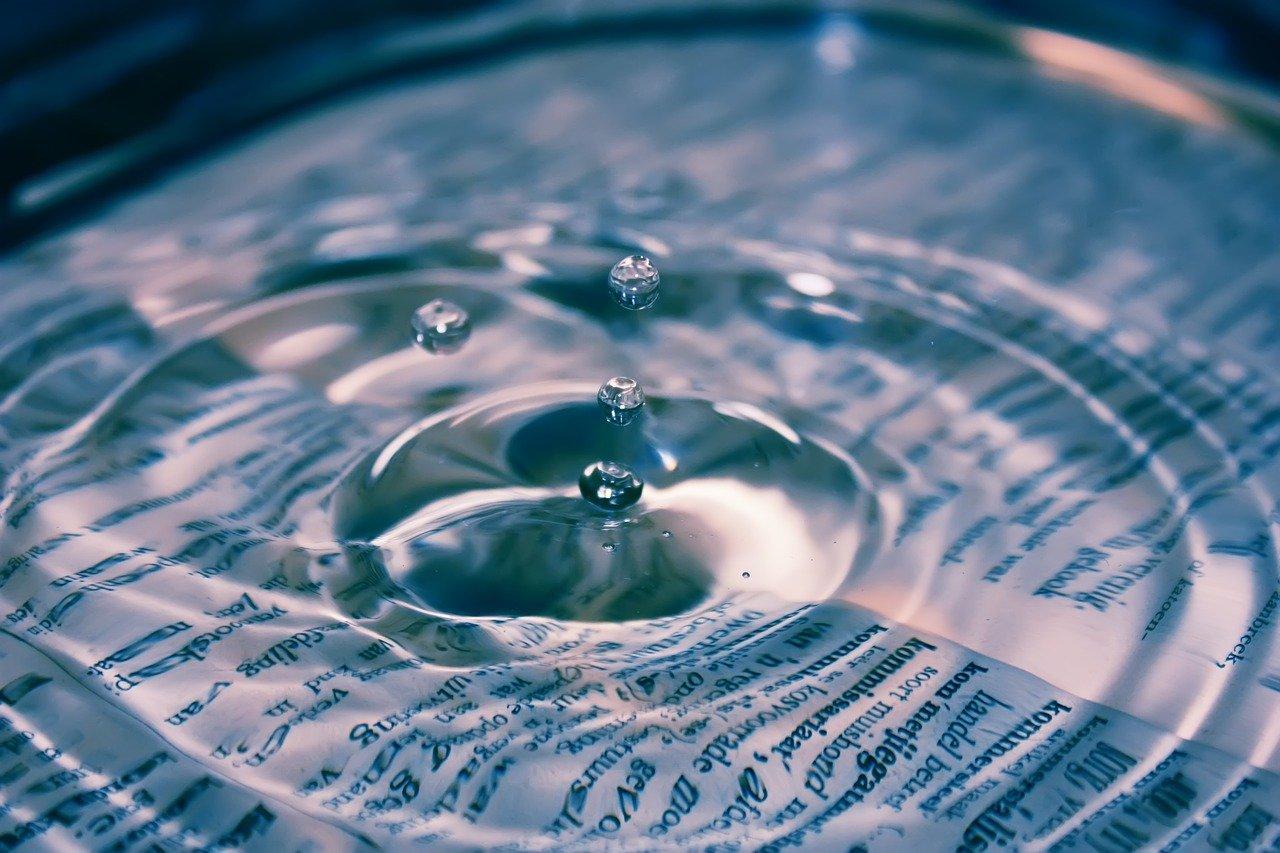 Transparencia y Gobierno Abierto