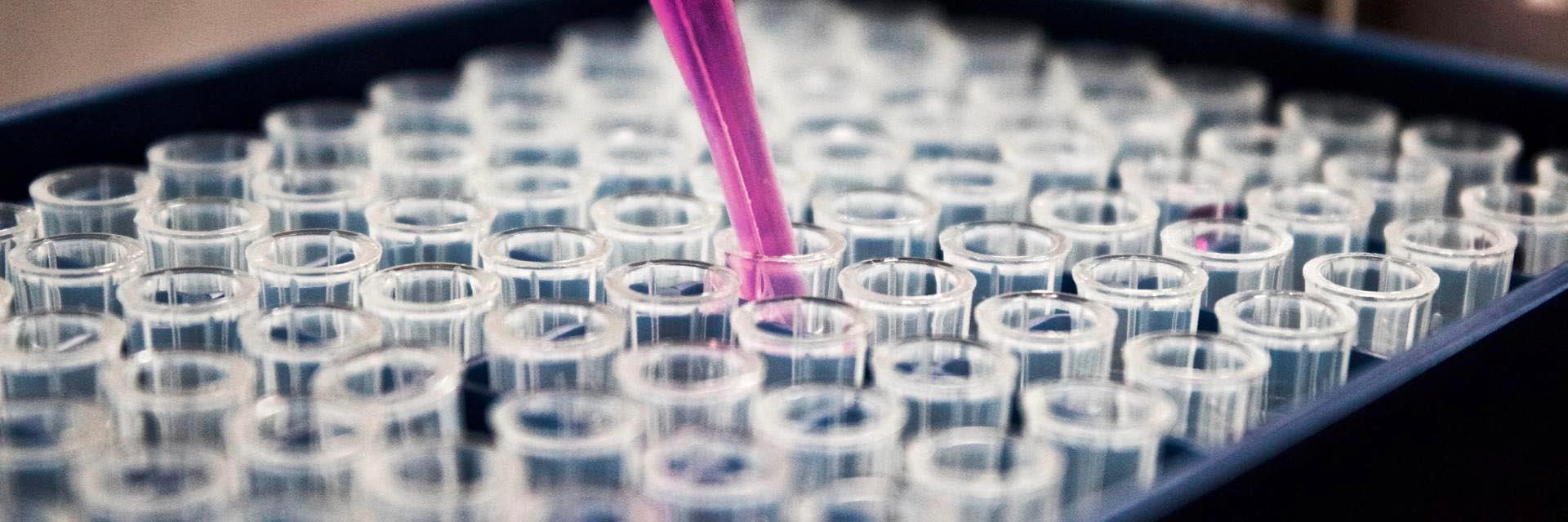 Estrategia Española de Ciencia, Tecnología e Innovación 2021-2027