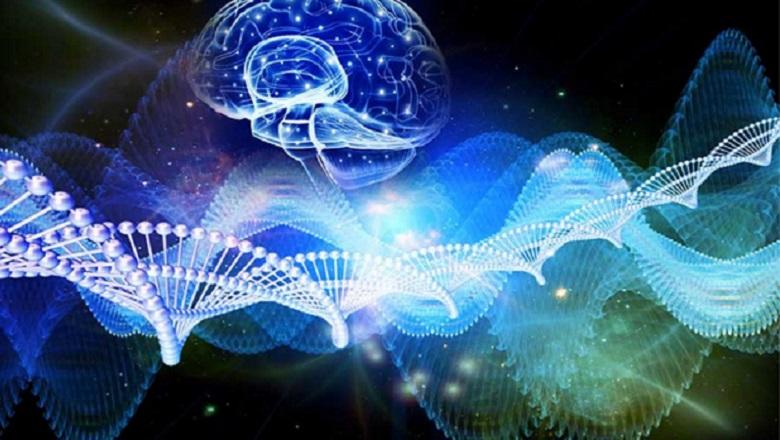 Nueva carrera científica