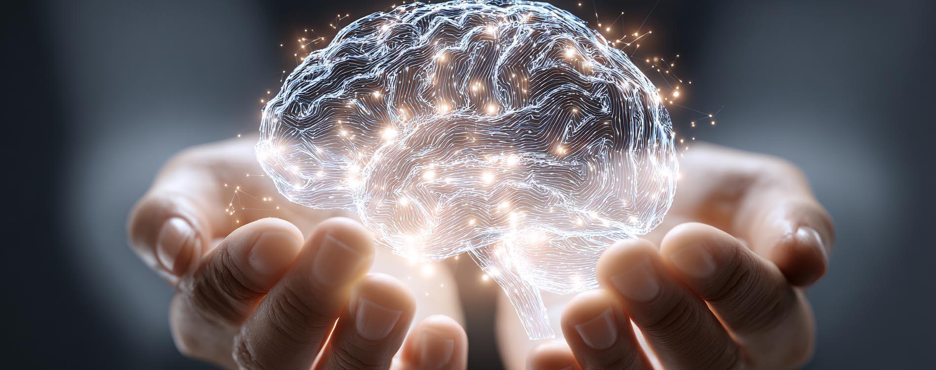 LT5.A4: Generación de capacidades y equidad