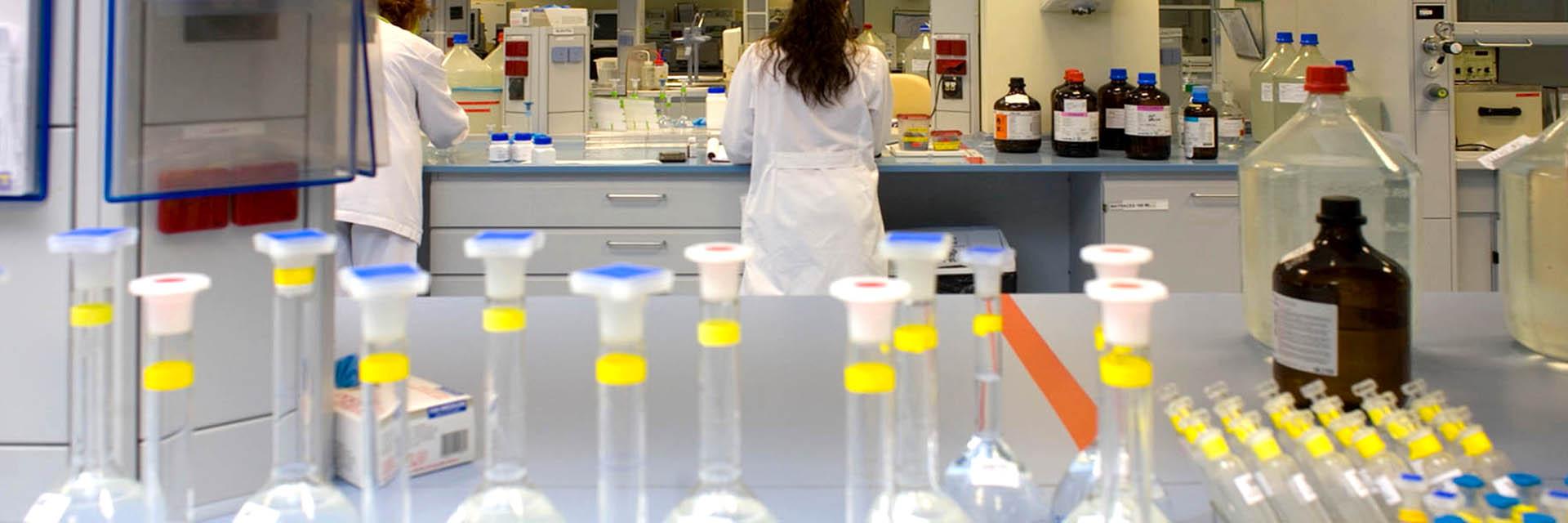 Carrera investigadora