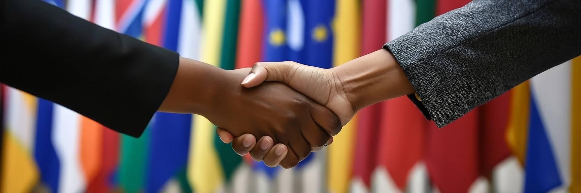 Cooperación internacional