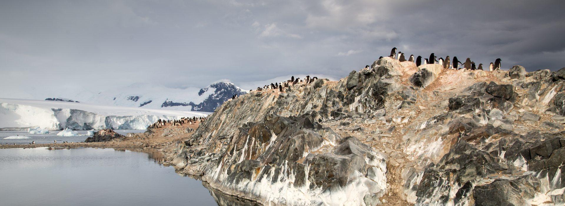 Protección del medio ambiente