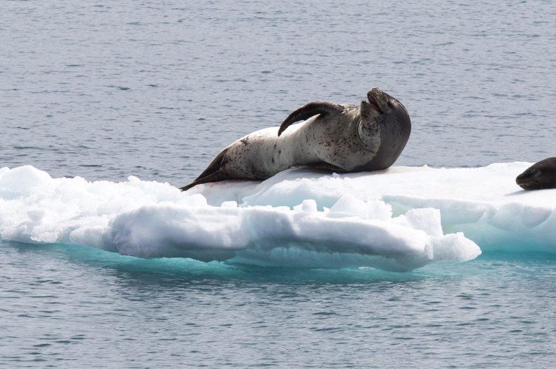 Protección del medio ambiente