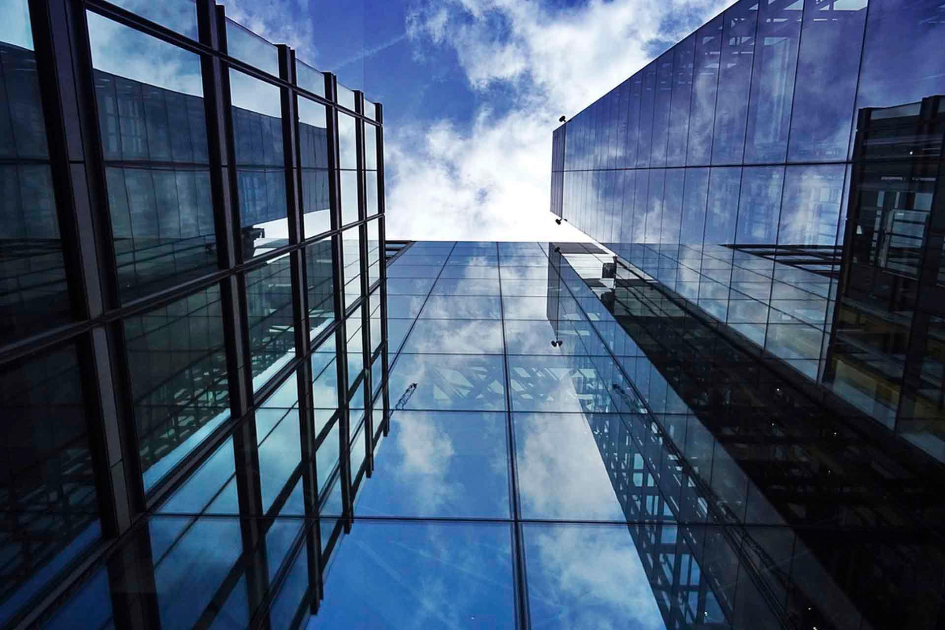 Consorcis i fundacions