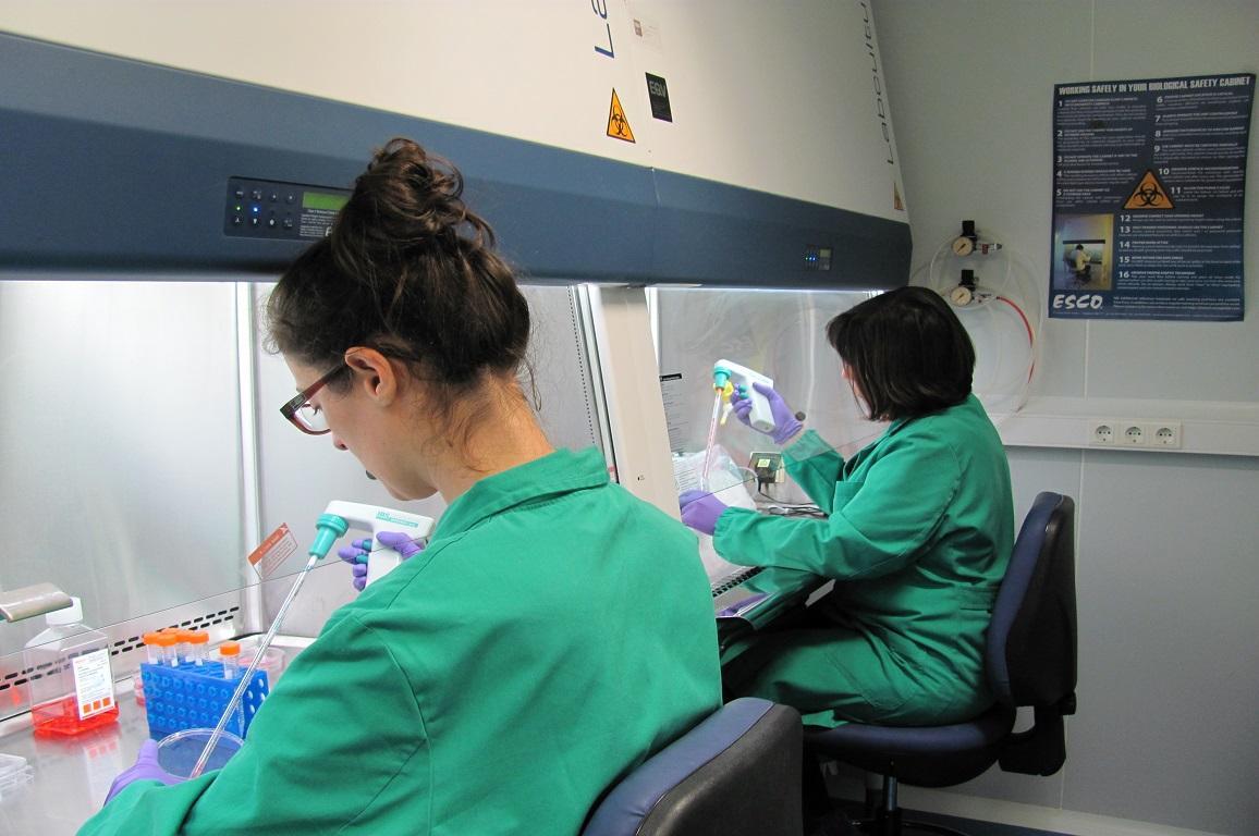 Infraestructura integrada de producción y caracterización de nanomateriales, biomateriales y sistemas en biomedicina (NANBIOSIS)