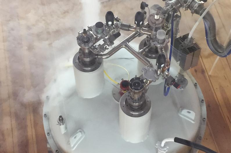 Red de Laboratorios de Resonancia Magnética Nuclear de Biomoléculas (R-LRB)