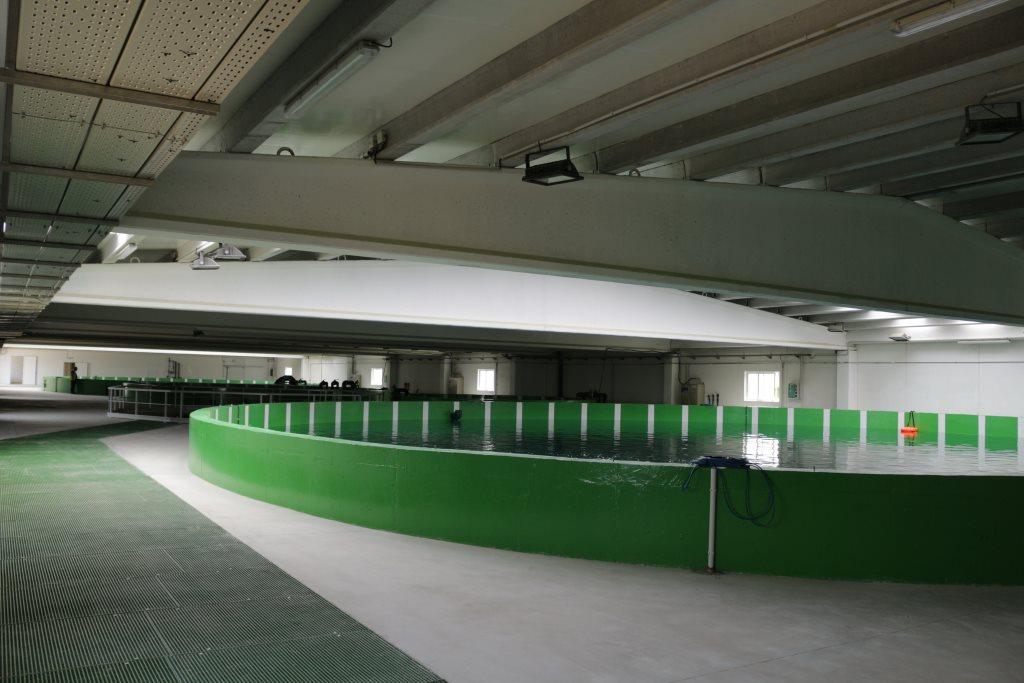 Infraestructura de cultivo del Atún Rojo (ICAR)