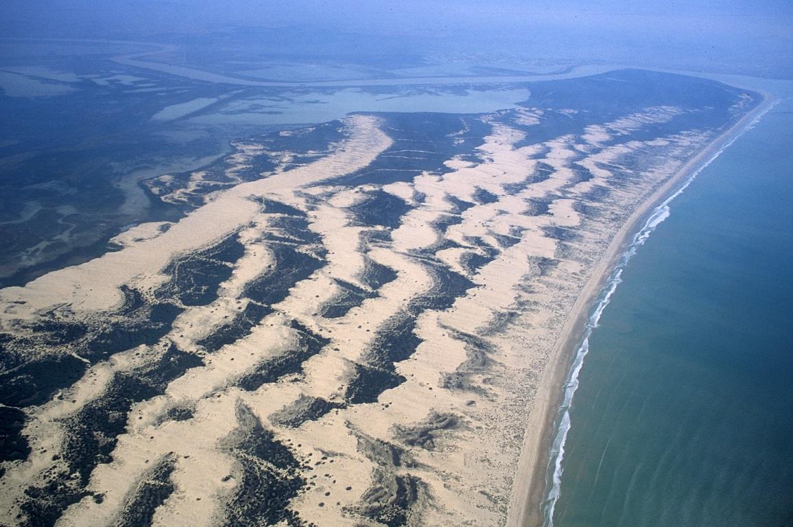 Reserva Biológica de Doñana (RBD)