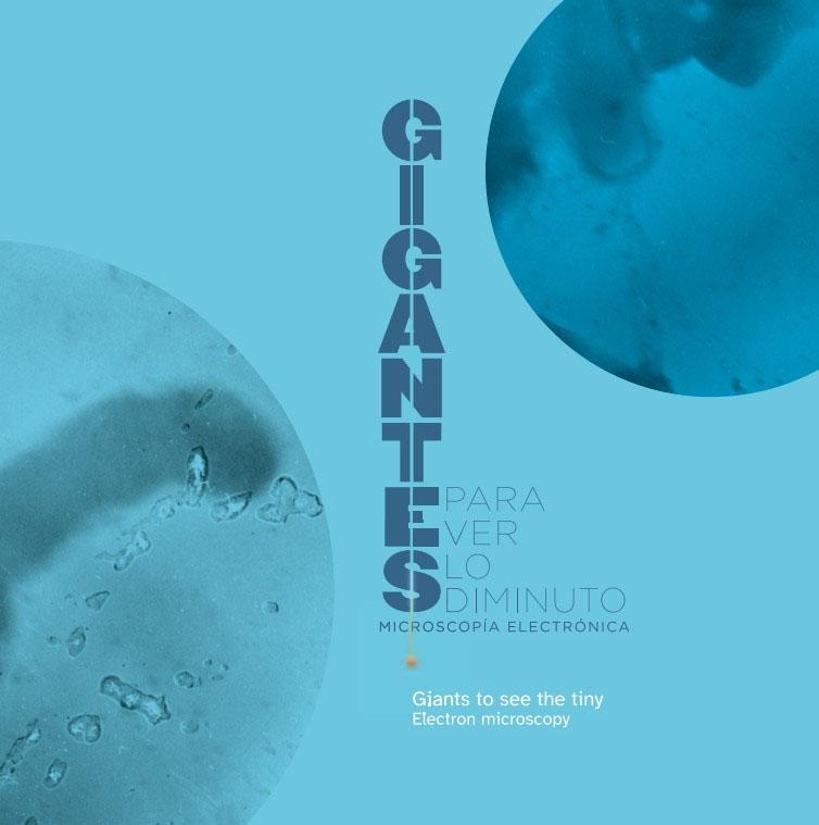 Carátula publicación