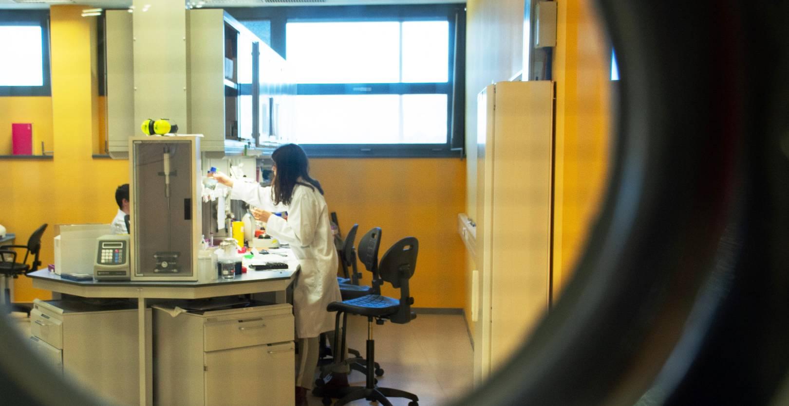 La Agencia Estatal de Investigación destina 95,5 millones para 1.030 ayudas predoctorales