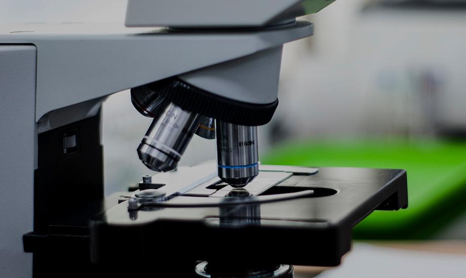 La Agencia Estatal de Investigación publica las principales ayudas a investigadores postdoctorales