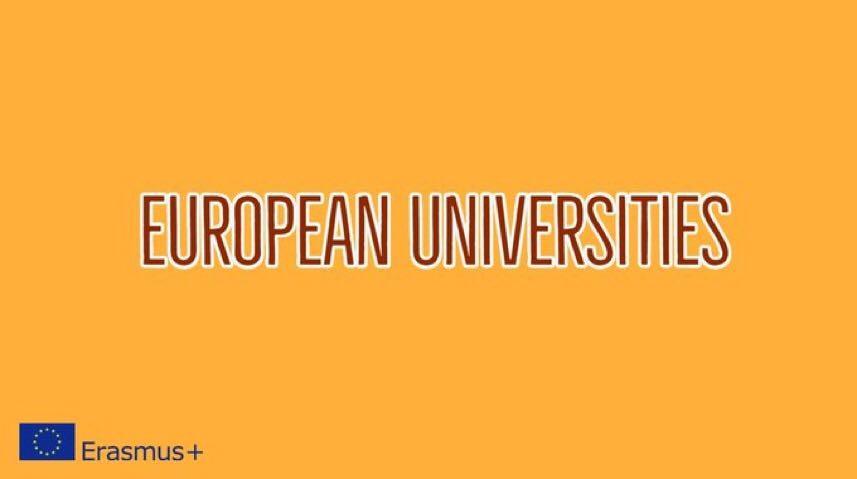 Once universidades españolas seleccionadas para formar parte de las ‘Universidades Europeas’