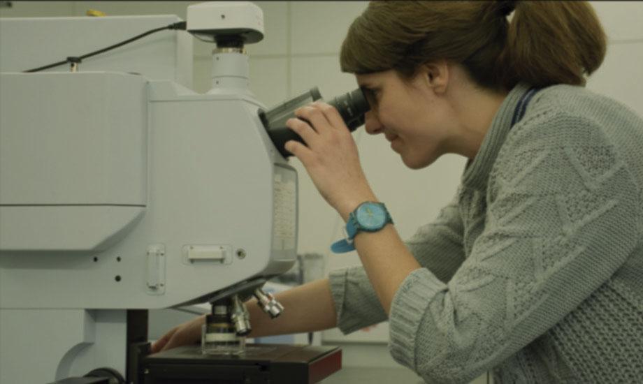 Investigadora