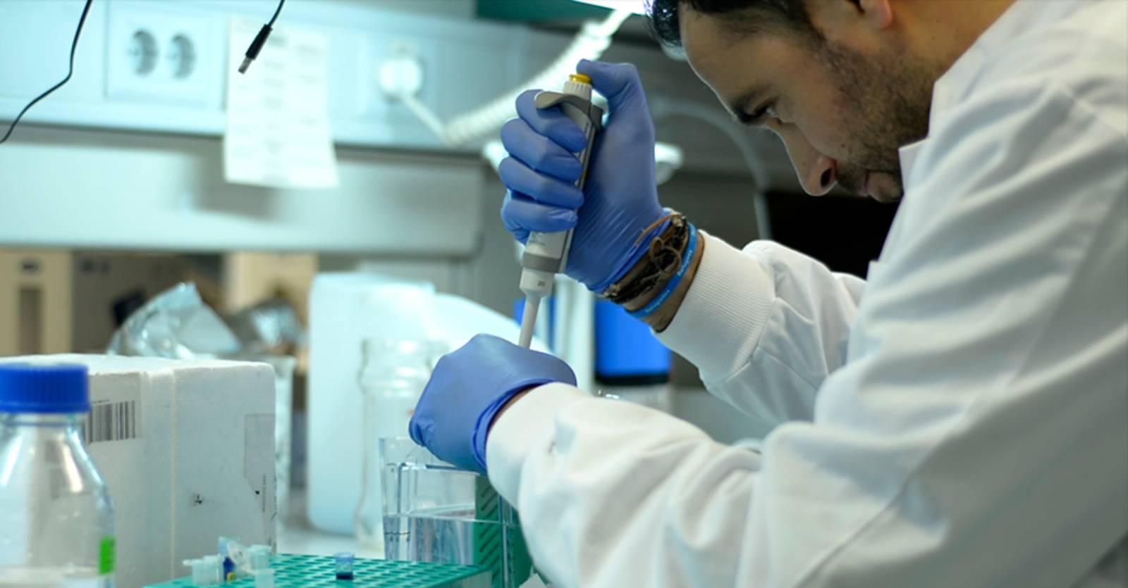 El Gobierno aprueba las ayudas Beatriz Galindo para atraer investigadores en el extranjero a las universidades españolas