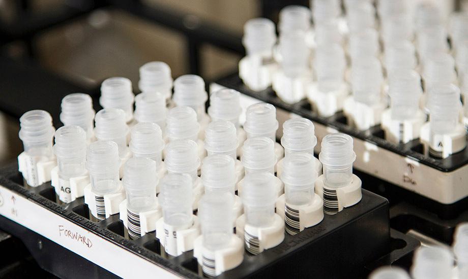 El CDTI concede 34,19 millones de euros a 72 proyectos de I+D+I empresarial El CDTI concede 34,19 millones de euros a 72 proyectos de I+D+I empresarial