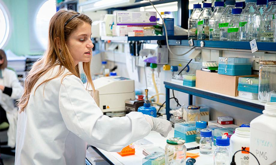 Plataforma Salud Global del CSIC Plataforma Salud Global del CSIC