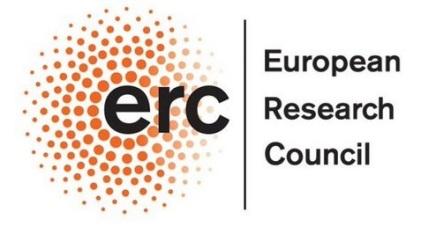El Centro Nacional de Microbiología realiza la secuenciación completa del SARS-CoV2 en muestras de pacientes de distintas partes de España El Centro Nacional de Microbiología realiza la secuenciación completa del SARS-CoV2 en muestras de pacientes de distintas partes de España