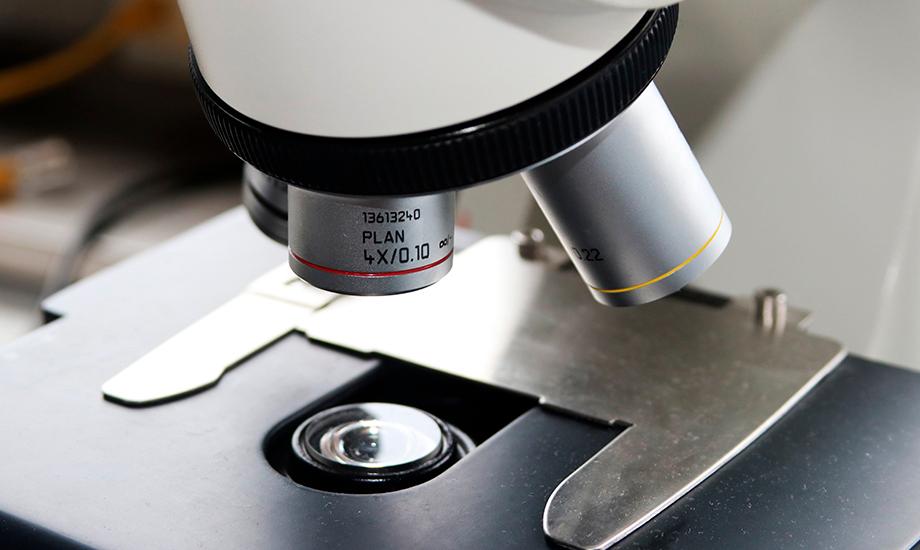 Imagen recurso de un microscopio