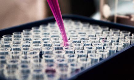 España intercambia información con 14 países de todo el mundo sobre la COVID-19