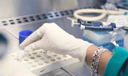 El Gobierno aprueba cerca de 30 millones para la investigación frente al COVID-19 y moviliza 500 millones para ayudas empresariales