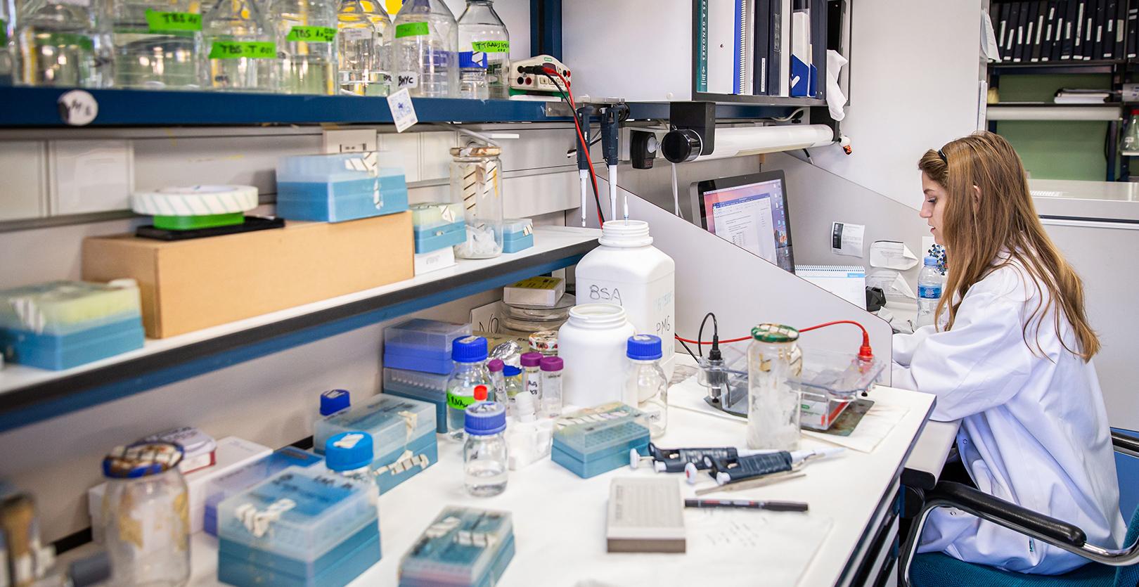 El Gobierno aprueba 522 millones de euros para las principales ayudas a proyectos de investigación y para contratos predoctorales