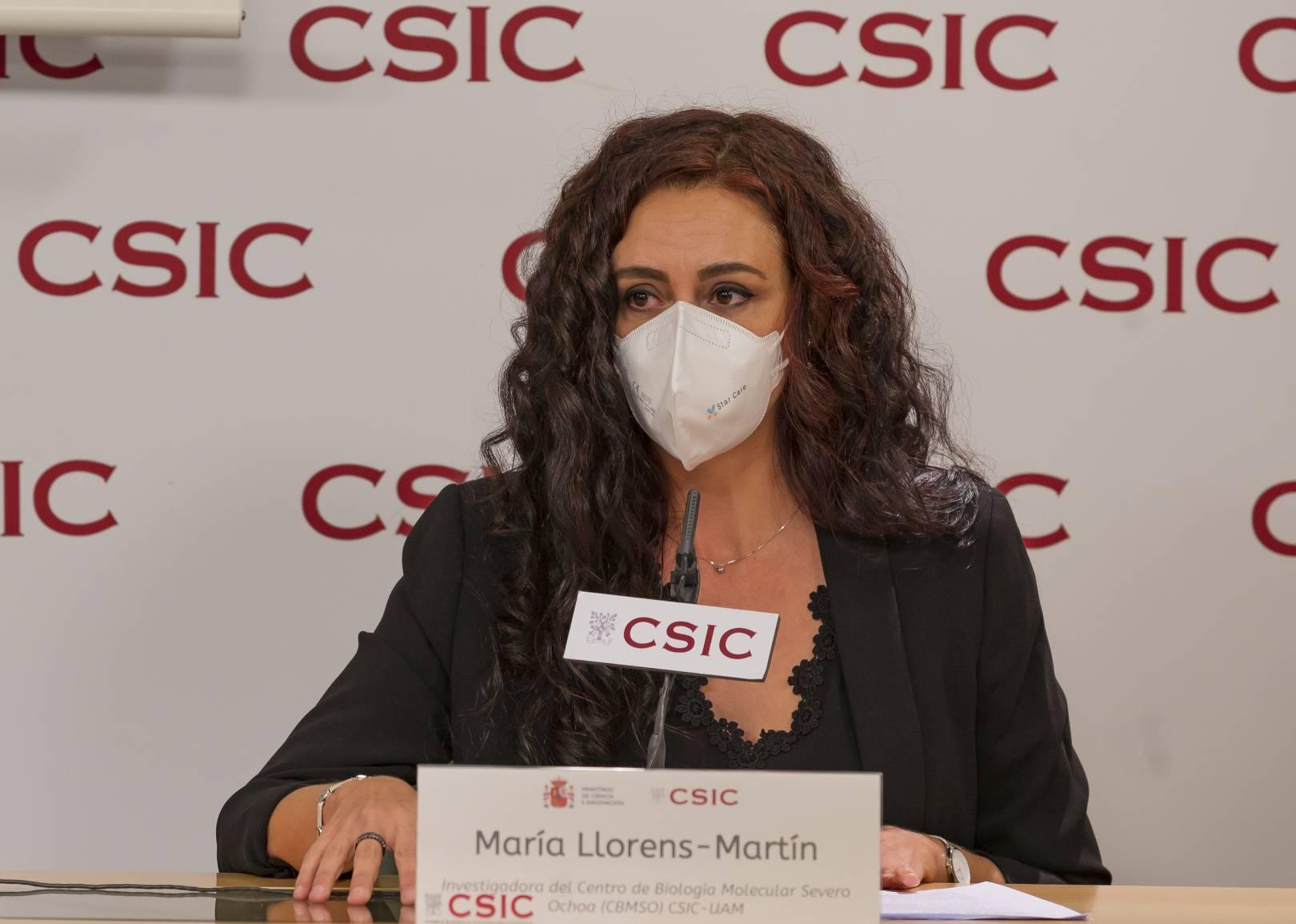 María Llorens Martín