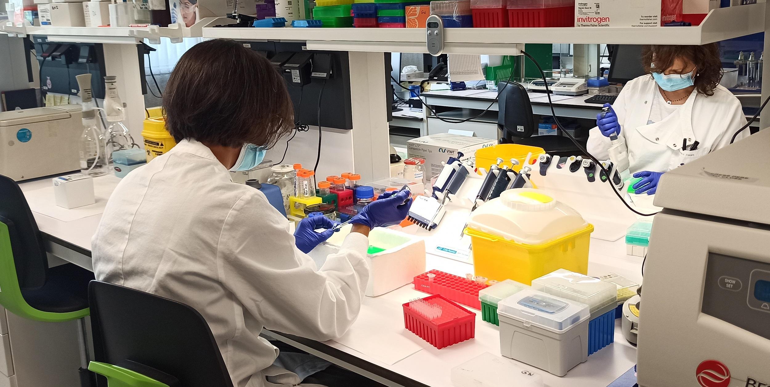 La ministra de Ciencia e Innovación suscribe el llamamiento internacional para el acceso abierto a las publicaciones científicas sobre la viruela de mono La ministra de Ciencia e Innovación suscribe el llamamiento internacional para el acceso abierto a las publicaciones científicas sobre la viruela de mono
