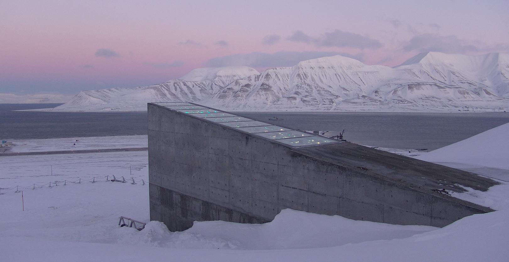 España depositará más de mil semillas en el Banco Mundial de Semillas de Svalbard, el ‘arca de Noé’ vegetal España depositará más de mil semillas en el Banco Mundial de Semillas de Svalbard, el ‘arca de Noé’ vegetal