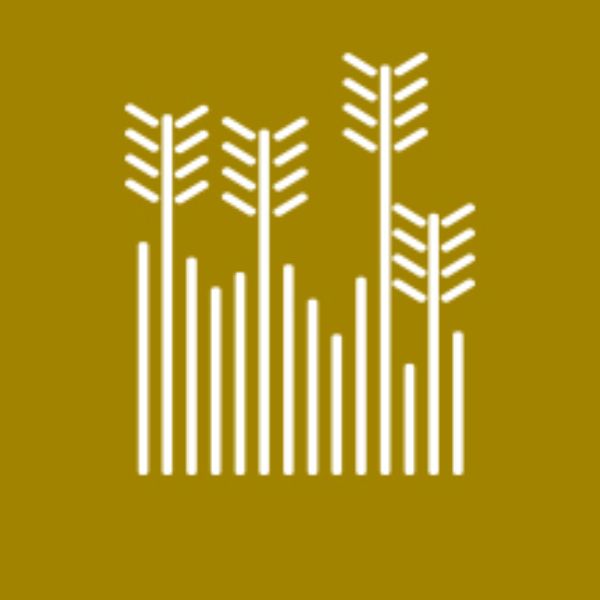 Agroalimentación