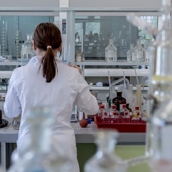 Investigaciones