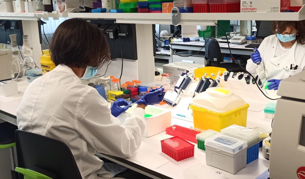 La ministra de Ciencia e Innovación suscribe el llamamiento internacional para el acceso abierto a las publicaciones científicas sobre la viruela de mono