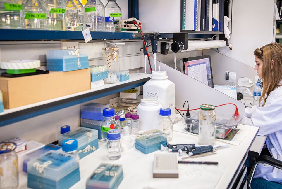 El Ministerio de Ciencia e Innovación publica el informe ‘Científicas en Cifras 2023’ 
