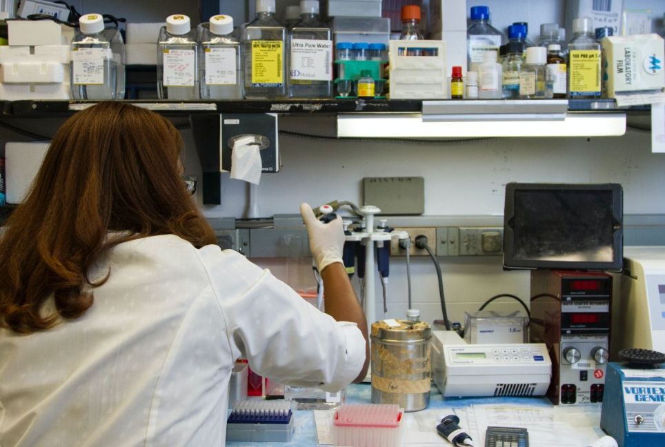 España y Alemania lanzan la primera convocatoria bilateral entre AEI y DFG para proyectos de investigación