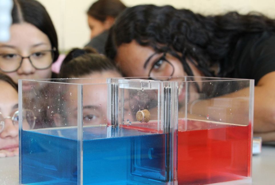 El Ministerio de Ciencia, Innovación y Universidades celebra la Semana de la Ciencia con cerca de 270 actividades